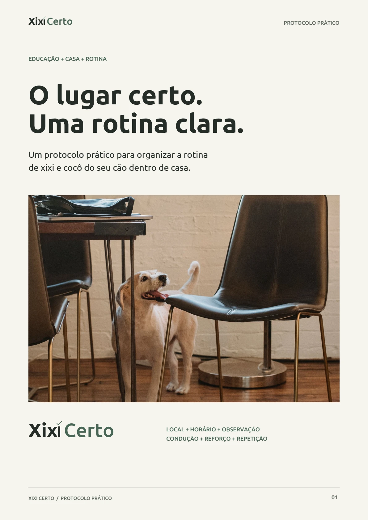 Prévia do guia visual Xixi Certo